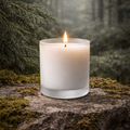 Spruce tree scented candle. frosted glass tumbler sitting on a spruce stump surrounded by spruce branches 